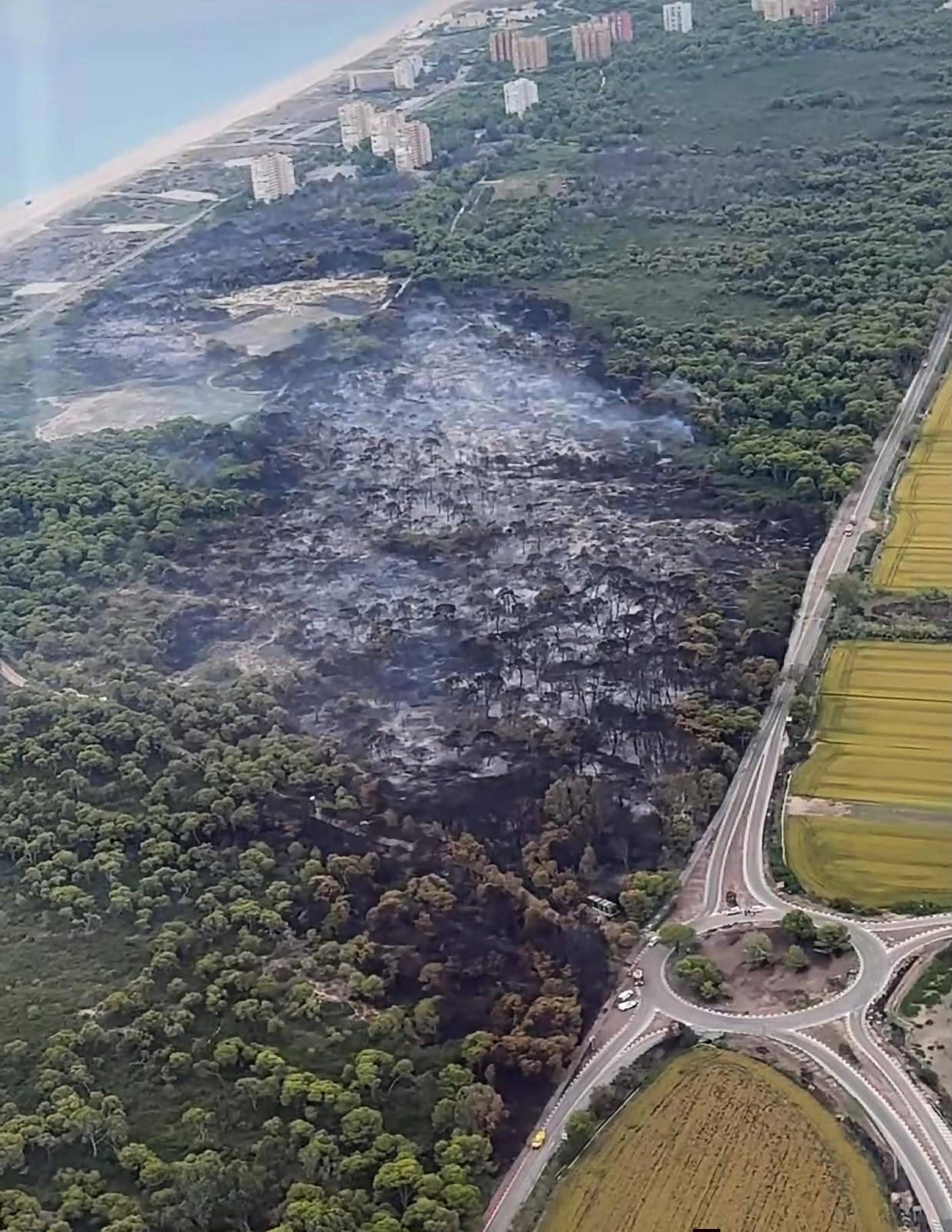 L’incendi de la Devesa del Saler torna a evidenciar les mancances en la política d’emergències de la Generalitat