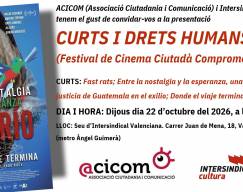 Curts i Drets Humans