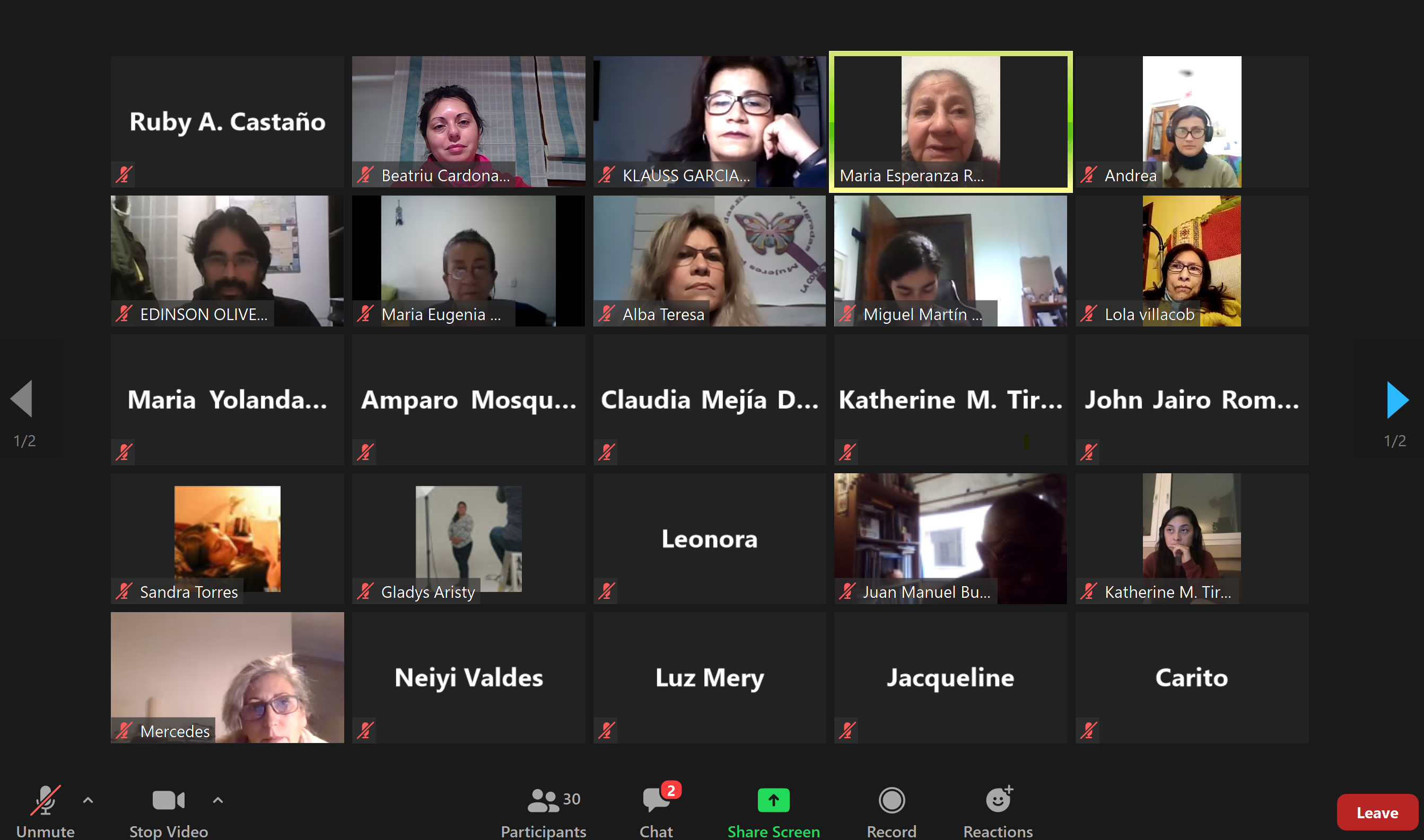 Imatge de l'inici de la reunió virtual