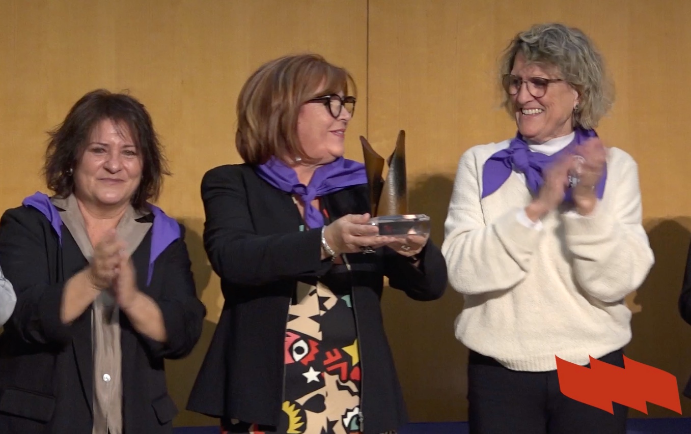 STEPV rep el Premi Igualtat de la Universitat d’Alacant pel projecte Coeducart