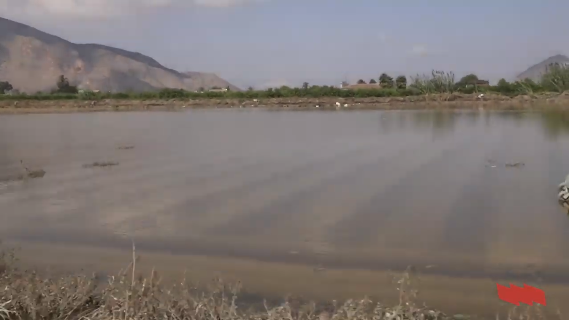 Visita de l’STEPV al Baix Segura després de les inundacions