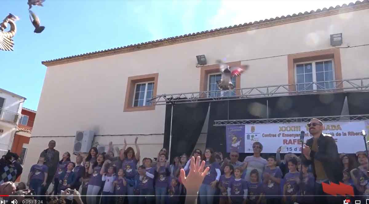 STEPV participa en la Trobada d’Escoles en Valencià de la Ribera