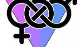 17 de maig, Dia Internacional Contra la LGTBfòbia