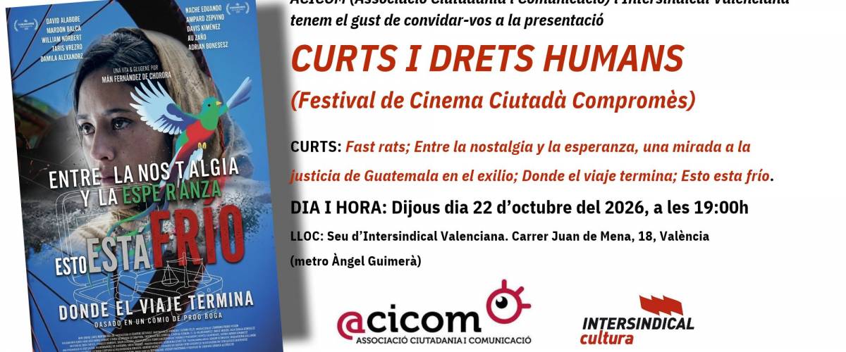 Curts i Drets Humans
