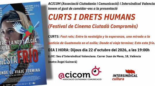 Curts i Drets Humans