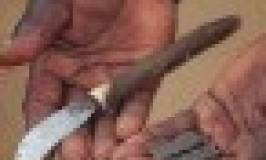 6 de Febrer, Dia Internacional Contra la Mutilació Genital Femenina