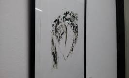 D’ones i corbes, exposició inaugurada
