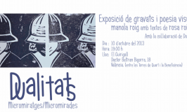 Dualitats. Micromiratges/micromirades