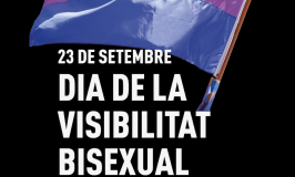 Dia Internacional de la Bisexualitat
