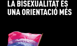 Bisexualitat sí, si és femenina, bisexualitat no, quan és masculina