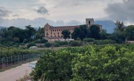 Intersindical Valenciana presenta al·legacions per defensar la protecció íntegra del monestir de Sant Jeroni de Cotalba
