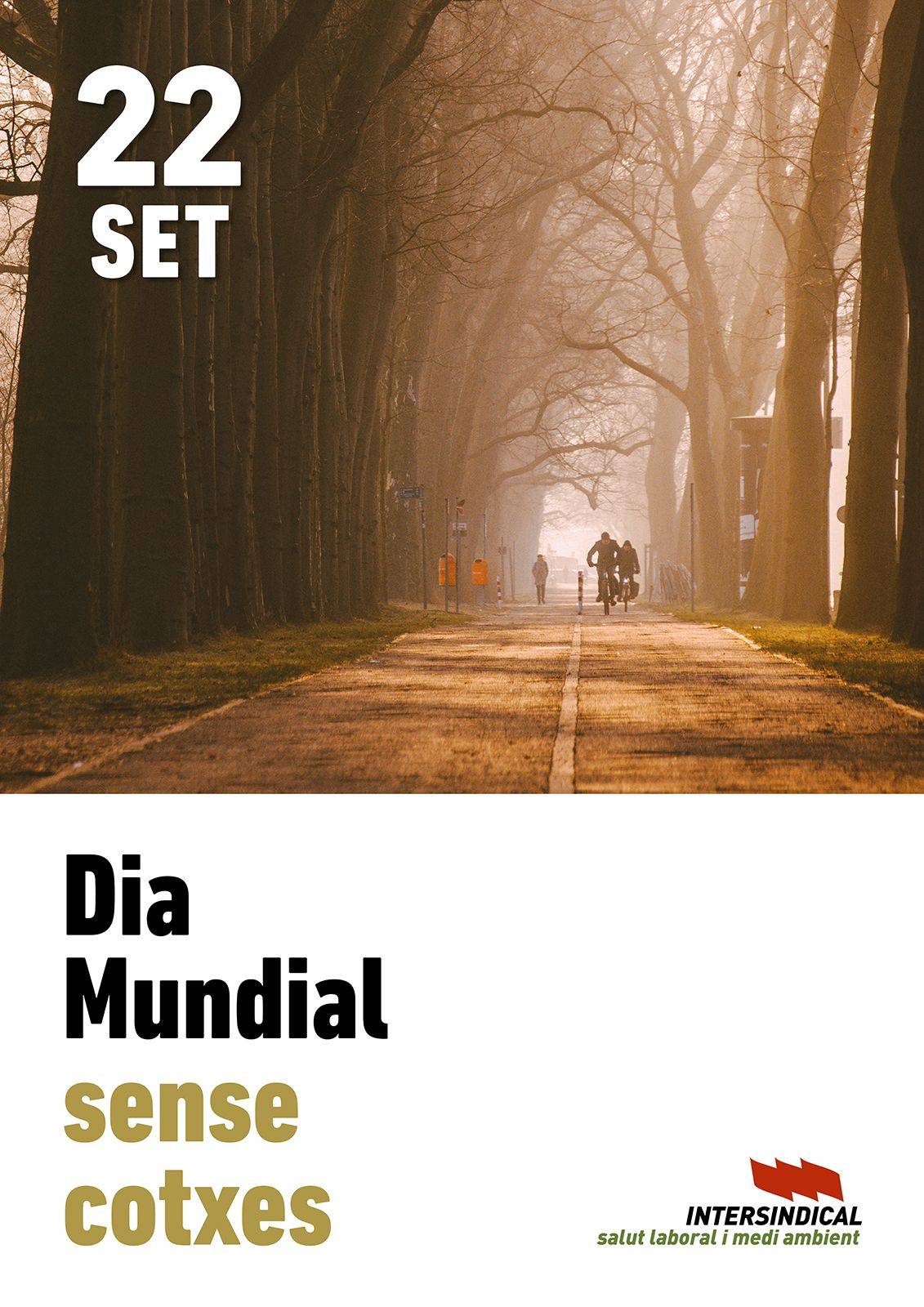 Dia Mundial Sense Cotxe: per una mobilitat més sostenible, neta i saludable
