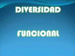 CONVOCATORIA DE PLAZAS DIVERSIDAD FUNCIONAL